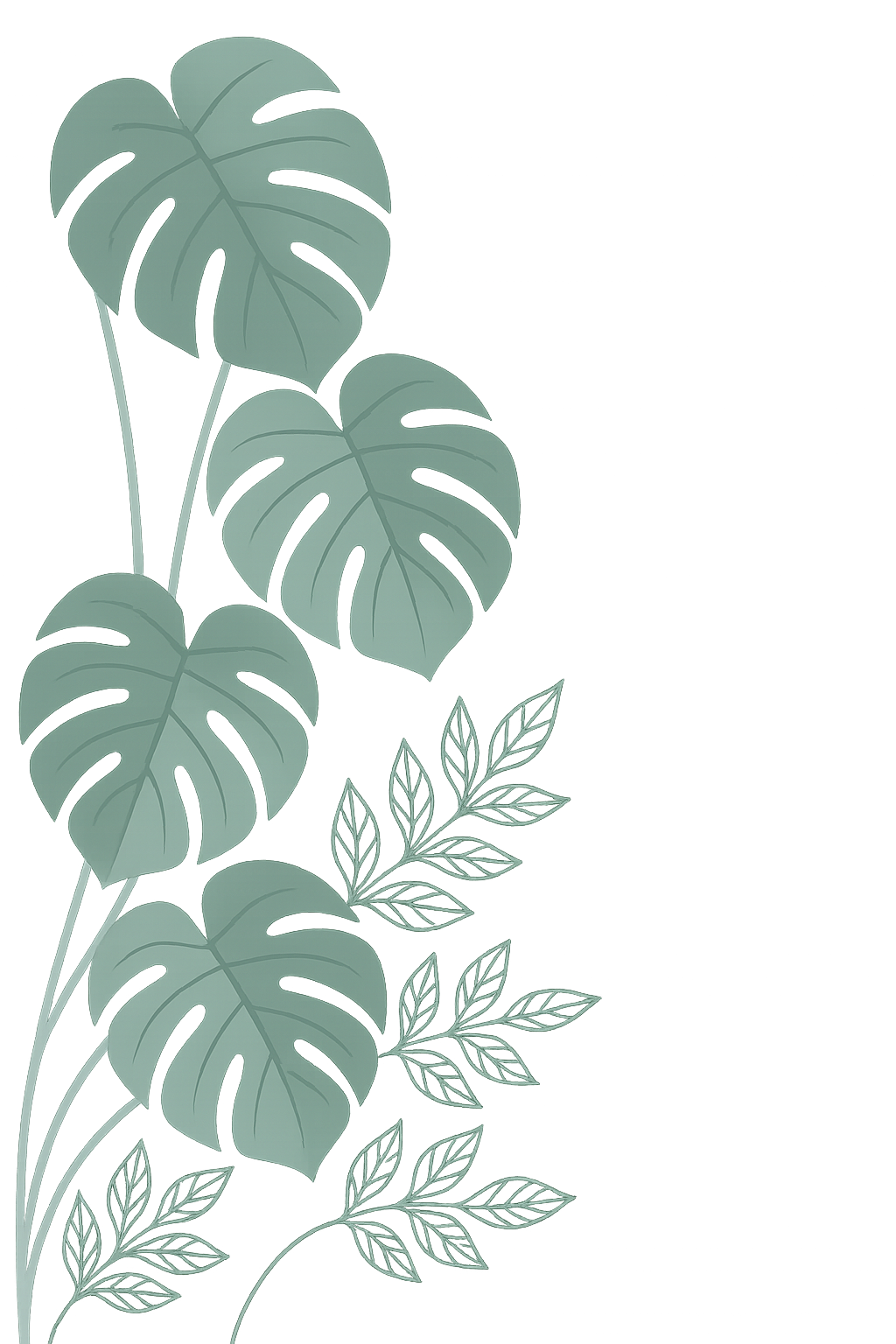 Monstera Bottom Left